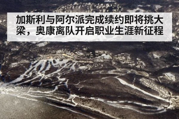 加斯利与阿尔派完成续约即将挑大梁,奥康离队开启职业生涯新征程